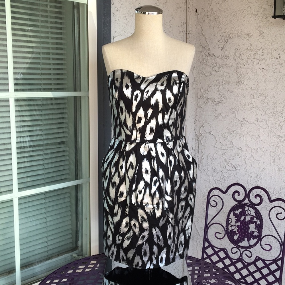 Black and Silver Dress